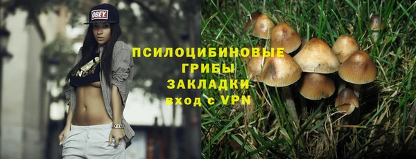 герыч Алексин