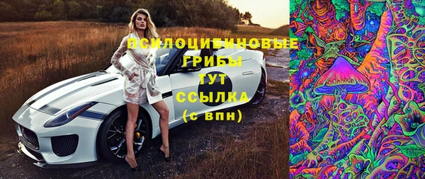 герыч Алексин