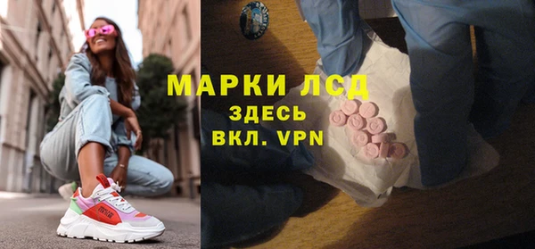 индика Михайловск